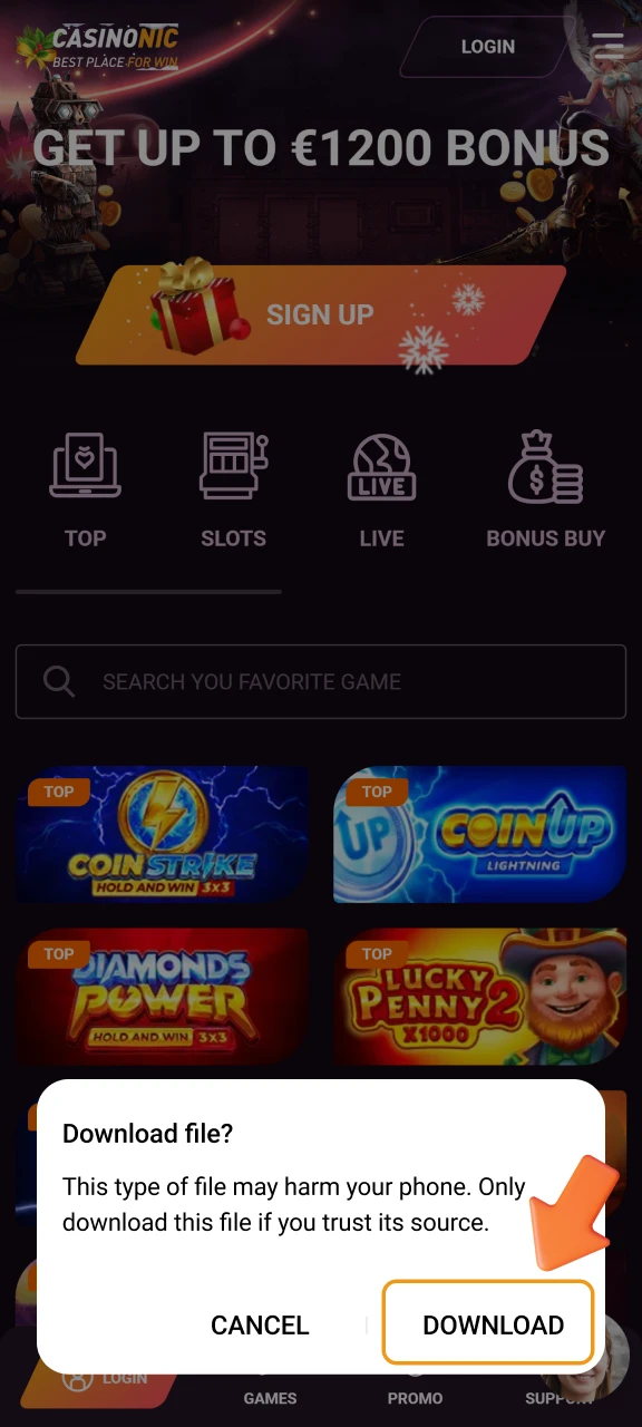 Confirm that you trust the source and accept the download terms in the pop-up.