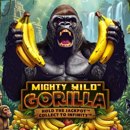 casinonic mighty wild gorilla